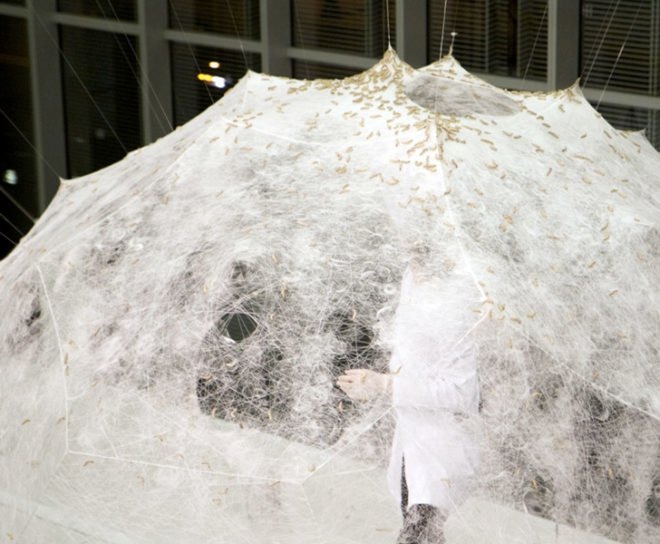 green design, eco design, sustainable design, MIT MEdia Lab, MIT Silk Pavilion, Mediated Matter Research Group, silkworm CNC pavilion
