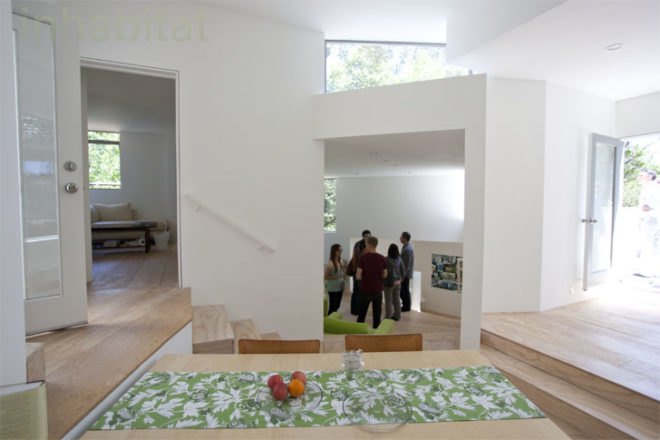 Multicellular House, Mill Valley, Marin County, Koji Tsutsui, Koji Tsutsui & Associates