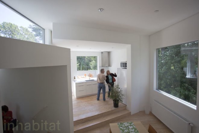 Multicellular House, Mill Valley, Marin County, Koji Tsutsui, Koji Tsutsui & Associates