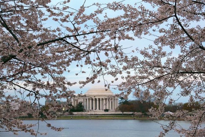 urban forest, carbon, sequestration, capture, economy, billions, us forest service, washington d.c.