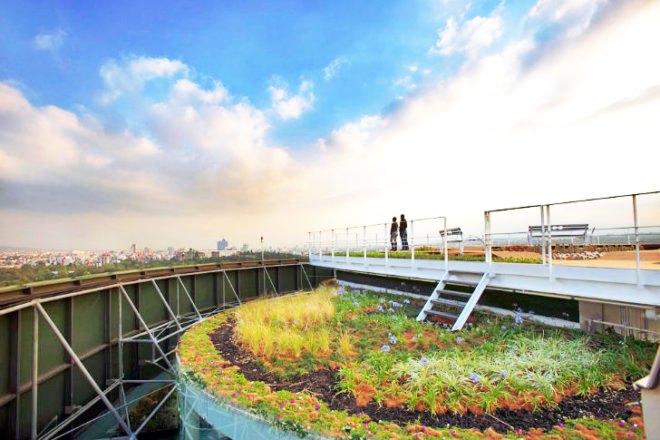 green roofs, rooftop gardens, rooftop oasis, exploration, outdoors, nature, urban living, cities, summer, activities, things to do, parks, city parks, green spaces