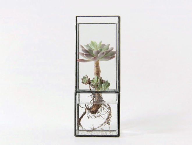 green design, eco design, sustainable design, terrarium, 1012 Terra, Daisuke Tsumanuma, Kenichi Yamada