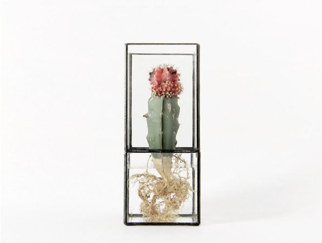 green design, eco design, sustainable design, terrarium, 1012 Terra, Daisuke Tsumanuma, Kenichi Yamada