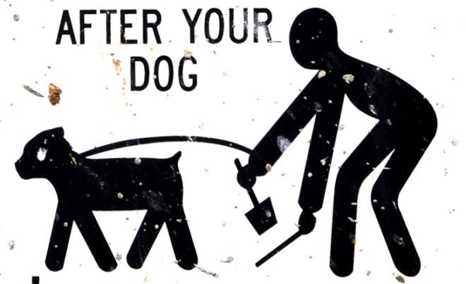 green design, eco design, sustainable design, poo power, Brunete Spain, dog poop task force