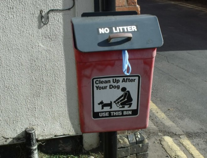 green design, eco design, sustainable design, poo power, Brunete Spain, dog poop task force