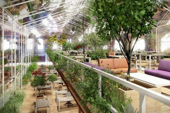 Except Netherlands, Crystal Forest Office Amsterdam, sustainability cooperative Netherlands, abandoned shipyard Amsterdam, green renovation, greenhouse office, hydroponic systems, green office spaces