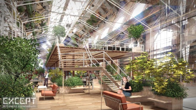 Except Netherlands, Crystal Forest Office Amsterdam, sustainability cooperative Netherlands, abandoned shipyard Amsterdam, green renovation, greenhouse office, hydroponic systems, green office spaces