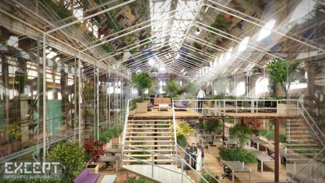 Except Netherlands, Crystal Forest Office Amsterdam, sustainability cooperative Netherlands, abandoned shipyard Amsterdam, green renovation, greenhouse office, hydroponic systems, green office spaces