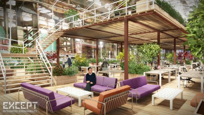 Except Netherlands, Crystal Forest Office Amsterdam, sustainability cooperative Netherlands, abandoned shipyard Amsterdam, green renovation, greenhouse office, hydroponic systems, green office spaces