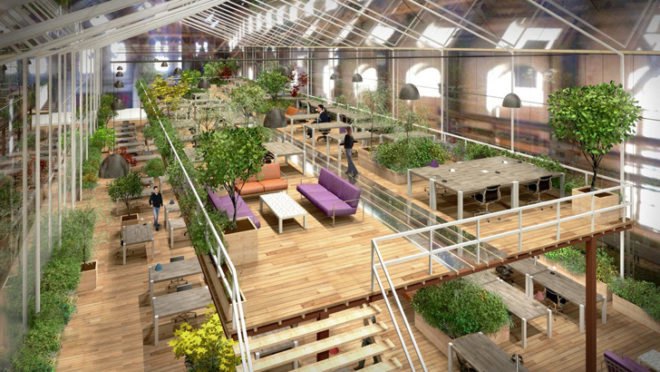 Except Netherlands, Crystal Forest Office Amsterdam, sustainability cooperative Netherlands, abandoned shipyard Amsterdam, green renovation, greenhouse office, hydroponic systems, green office spaces