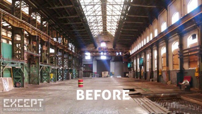 Except Netherlands, Crystal Forest Office Amsterdam, sustainability cooperative Netherlands, abandoned shipyard Amsterdam, green renovation, greenhouse office, hydroponic systems, green office spaces
