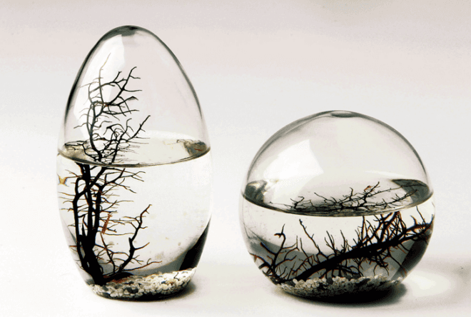 Eco Spheres
