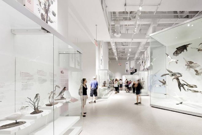 KPMB Architects, renovation, Canadian Museum of Nature, museum, glazed, glass, Ottawa, Canada, natural light. Architecture, Daylighting, Green renovation, green Interiors,