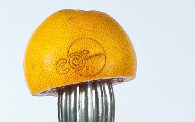 Laser Food labels, EU ruling, lasering fruit, lasered food, food tattoos, Laser Food Valencia, green technology, food art, sustainable food, food chemicals, laser labels, food industry
