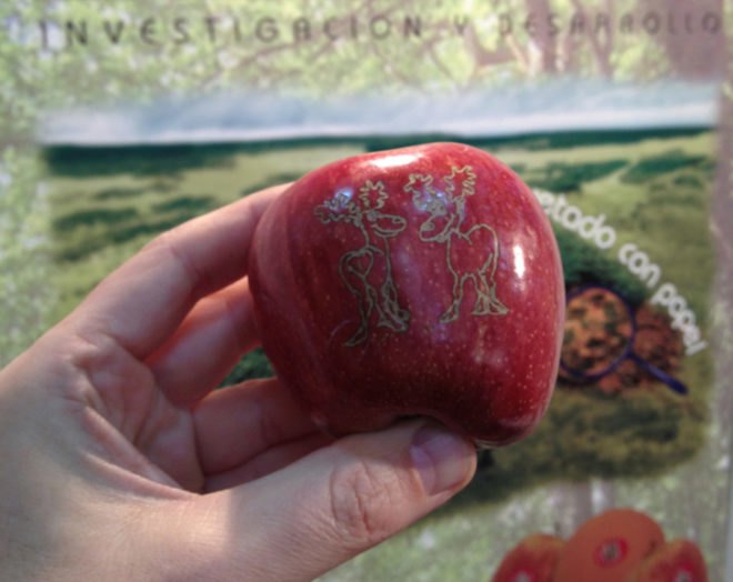 Laser Food labels, EU ruling, lasering fruit, lasered food, food tattoos, Laser Food Valencia, green technology, food art, sustainable food, food chemicals, laser labels, food industry