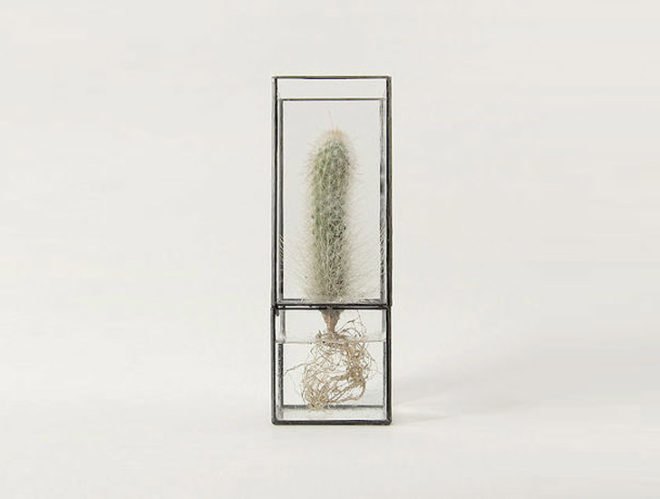 green design, eco design, sustainable design, terrarium, 1012 Terra, Daisuke Tsumanuma, Kenichi Yamada