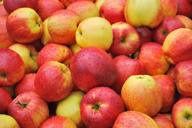 lot of red and yellow apples