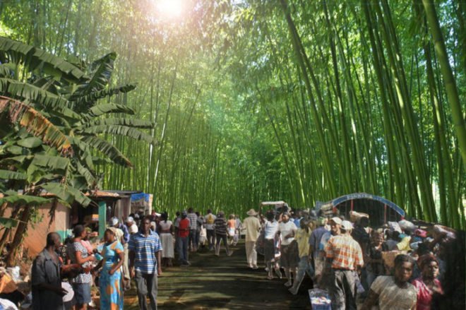 bamboo lakou, haiti, bamboo, john naylor, foster + partners prize, sustainable building, green building, green architecture, bamboo building