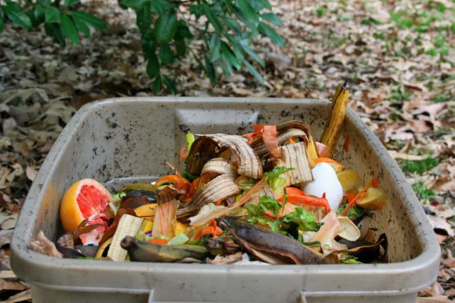 Composting, composting nyc, landfills, mayor Michael Bloomberg, New York city Department of Sanitation, new york city mayors office,new york city recycling, new york city recycling programs,new york city schools recycling, NYC landfills, solid waste reduction, nyc waste reduction, food waste new york, staten island composting, staten island compost program