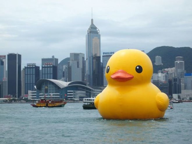 florentijn hofman, hong kong, yellow duck, floating, installation, art