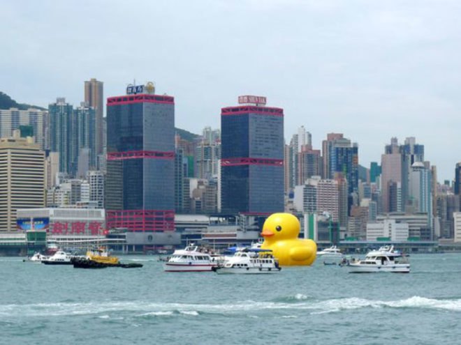 florentijn hofman, hong kong, yellow duck, floating, installation, art