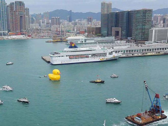 florentijn hofman, hong kong, yellow duck, floating, installation, art