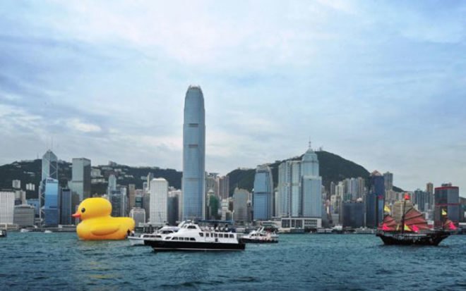 florentijn hofman, hong kong, yellow duck, floating, installation, art