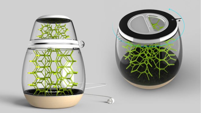 Lepsis, insect vessel, Mansour Ourasanah, insects, KitchenAid
