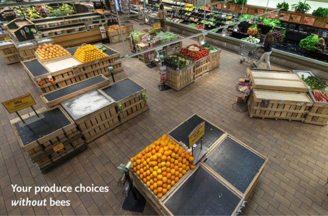 green design, eco design, sustainable design, Whole Foods, Xerces, University Heights Whole Foods, Bee population, bee pollinated food, bee pollination