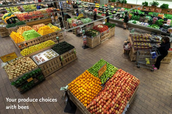 green design, eco design, sustainable design, Whole Foods, Xerces, University Heights Whole Foods, Bee population, bee pollinated food, bee pollination
