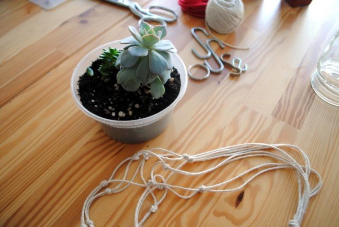 DIY, recycled, string, planter, succulent, interior, how-to, knotted, plants, decoration