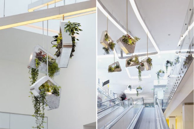 Green Mobile, Prague, Alexis Tricoire, hanging garden, 3form varia, mini garden, green lighting, green interiors