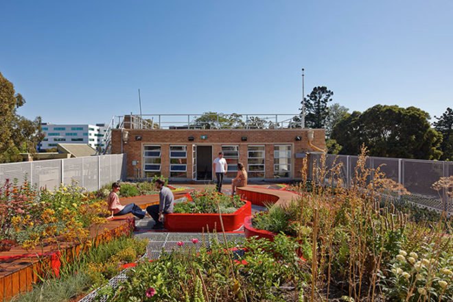 green design, eco design, sustainable design, University of Melbourne Burnley Campus, BUrnley Living Roofs, HASSELL, Demonstration Roof, Biodiversity Roof, Research Roof