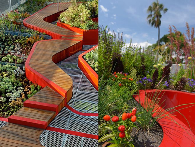 green design, eco design, sustainable design, University of Melbourne Burnley Campus, BUrnley Living Roofs, HASSELL, Demonstration Roof, Biodiversity Roof, Research Roof