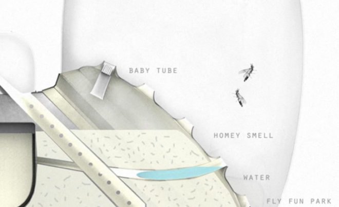 green design, eco design, sustainable design, Katharina unger, Farm 432, Insect eating, alternative protein, raising larvae