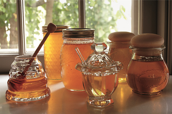Martha Stewart, Martha Stewart Bee keeper, Martha Stewart bees, Martha Stewart Honey, Martha Stewart blog, Martha Stewart food, bee population, keeping bees, bee hives, keeping bee hives, celebrity bee hives, celebrity bee keepers, colony collapse, bee colony collapse, honey jarring, homegrown honey, Martha honey, Martha Stewart honey jars, Martha Stewart Living, Martha Stewart Bee tips, Martha Stewart raising bee tips