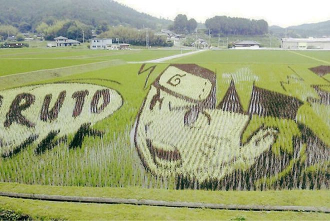 Tanbo Art, rice fields, japan, dye-free, rice, illustrations, mazinger z, Napoleon, Art, Botanical, Sustainable Food