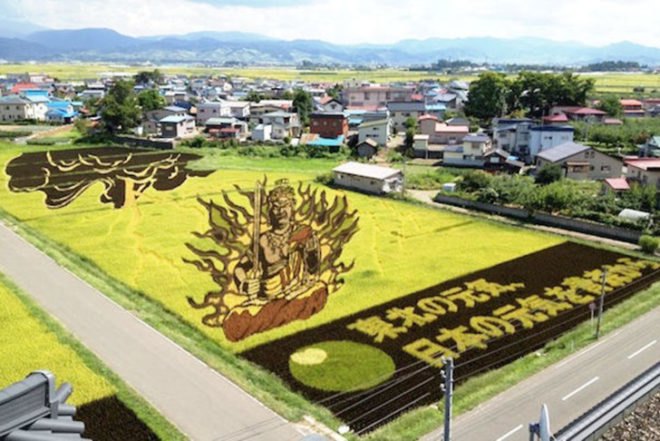 Tanbo Art, rice fields, japan, dye-free, rice, illustrations, mazinger z, Napoleon, Art, Botanical, Sustainable Food