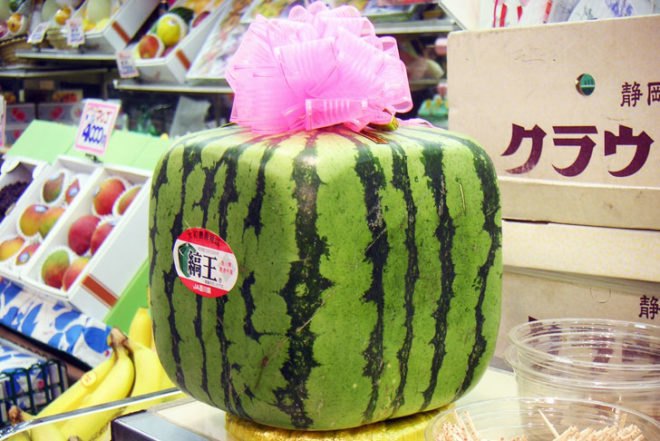 Square watermelon, watermelon, square, japan watermelon, japan square watermelon
