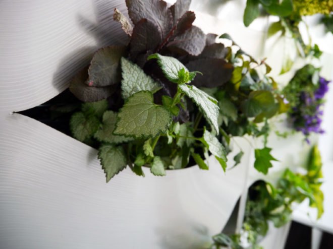 william lee, living wall, green wall, sustainable design, green design, urban design, green building, sustainable building, planter, gardening, vertical garden, architecture, sustainable architecture