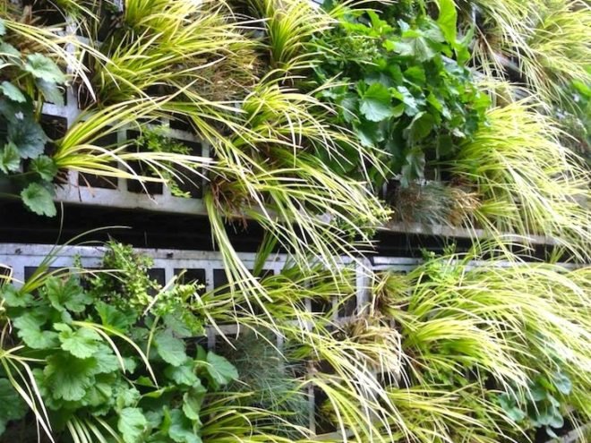 Estudio 108, vertical garden, modular green walls, living walls in Spain, botanical design, green design, sustainable design, eco-design, Madrid, Spain, Estudio 108, Air Garden, Reina Sofia Museum vertical garden,