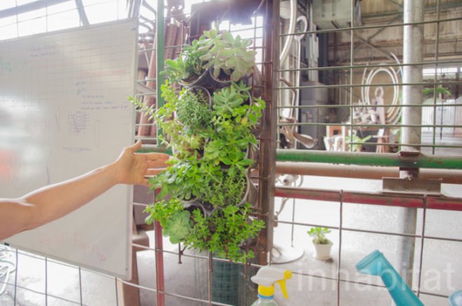 green technology, solar power, american steel studios, recycled materials, west oakland, california, Karen Cusolito, Groundation Foundation, Nick Gardner, Indra Designs, Wholly H2O, City of Oakland’s Rain Barrel Program, gardening, urban design, vertical garden