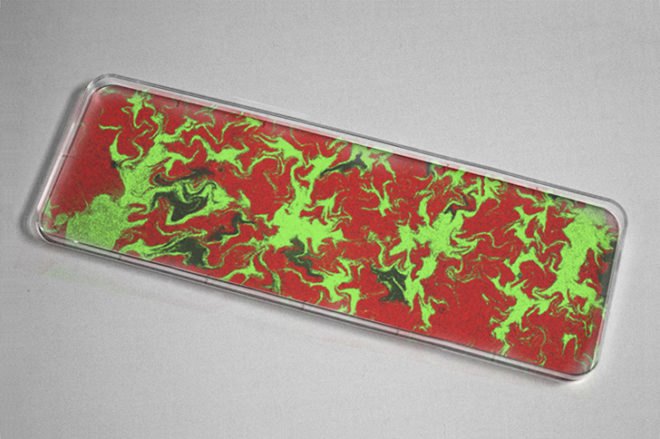 Building With Bacteria, David Benjamin, The Living Thing, Columbia University biological research, scientific research, biofuels, fossil fuels, Cambridge University, bacteria houses, glucose economy, Living Foundries Program, biomimicry, bioengineering