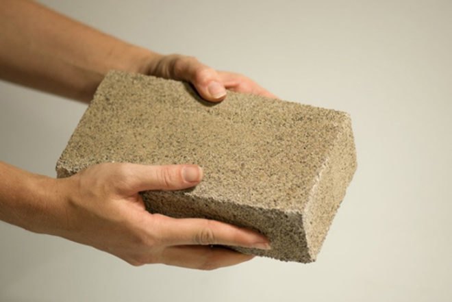 Building With Bacteria, David Benjamin, The Living Thing, Columbia University biological research, scientific research, biofuels, fossil fuels, Cambridge University, bacteria houses, glucose economy, Living Foundries Program, biomimicry, bioengineering