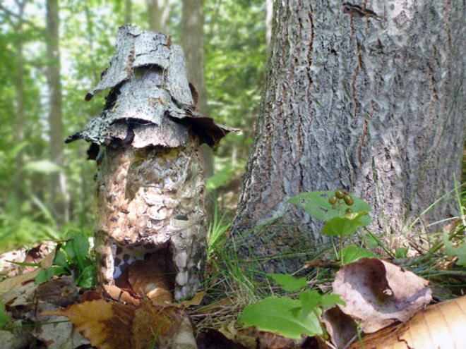 fairy house, fairy houses, fairy cottage, faerie house, faerie houses, faerie cottage, faerie tower, pixie house, pixie houses, toad house, toad home, fairies