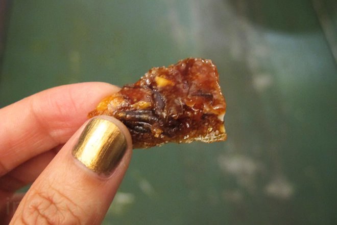 cricket canape, eating crickets, cricket treats, people who eat crickets, cricket cookies, cricket farms, cricket dining, cricket snacks, future food salon, sustainable food, cricket protein, crickets nyc, new york food, weird food nyc, weird food, cricket brittle, cricket energy bars, cricket canape, eating crickets, cricket treats, people who eat crickets, cricket cookies, cricket farms, cricket dining, cricket snacks, future food salon, sustainable food, cricket protein, crickets nyc, new york food, weird food nyc, weird food, cricket brittle, cricket energy bars, cricket farming