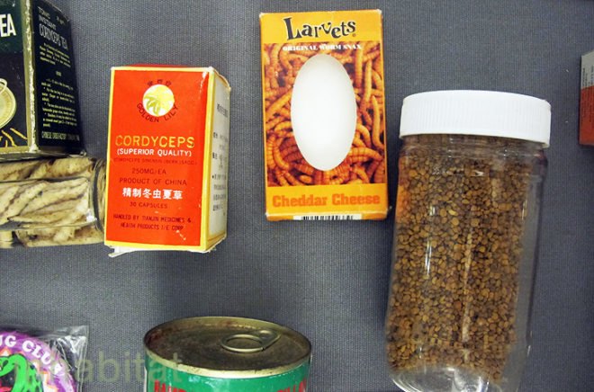 cricket canape, eating crickets, cricket treats, people who eat crickets, cricket cookies, cricket farms, cricket dining, cricket snacks, future food salon, sustainable food, cricket protein, crickets nyc, new york food, weird food nyc, weird food, cricket brittle, cricket energy bars, cricket canape, eating crickets, cricket treats, people who eat crickets, cricket cookies, cricket farms, cricket dining, cricket snacks, future food salon, sustainable food, cricket protein, crickets nyc, new york food, weird food nyc, weird food, cricket brittle, cricket energy bars, cricket farming