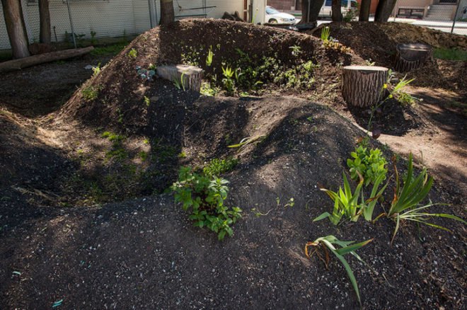 Winding Hugelkultur Beds, hugelkultur, permaculture, permaculture gardening, gardening, raised garden beds, compost, soil, garden, perennial vegetables