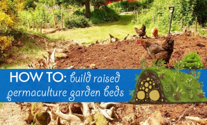 hugelkultur, permaculture, permaculture gardening, gardening, raised garden beds, compost, soil, garden, perennial vegetables