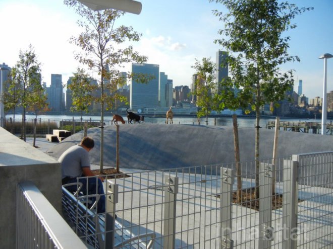 hunters point, hunters point park, hunters point south, resilient design, resiliency, resilient architecture, waterfront park, waterfront park new york, queens parks, long island city, weiss manfredi, thomas balsley